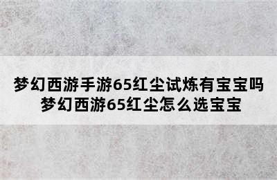 梦幻西游手游65红尘试炼有宝宝吗 梦幻西游65红尘怎么选宝宝